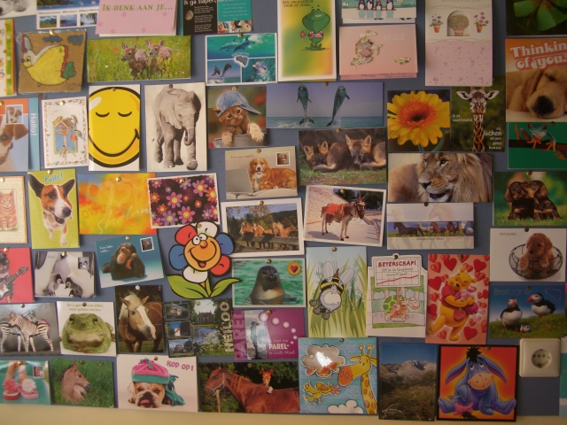 Een propvol bord met nieuwe kaarten!, fantastisch mooi en echt iedere dag echt genieten we van de nieuwe post